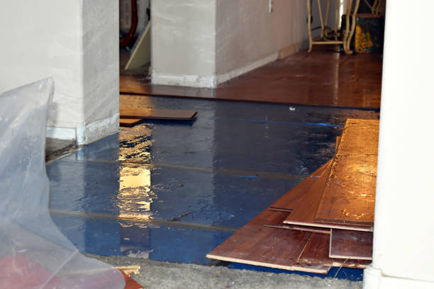 Professional Basement Flood Cleanup technician working in Noble, OK